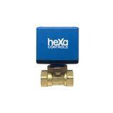 Hexa Controls Motorlu Vana Dn20, 230vac On/off
