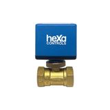 Hexa Controls Motorlu Vana Dn25, 230vac On/off
