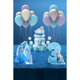 Hey Parti Frozen Elsa Doğum Günü Parti Seti (3 Yaş, 4 Yaş, 5 Yaş Doğum Günü Konsepti) - Mini