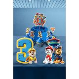 Hey Parti Paw Patrol Doğum Günü Parti Seti - 3 Yaş Paw Petrol Doğum Günü Konsepti - Mini