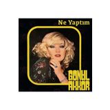 HEY PLAK BOLU Gönül Akkor Ne Yaptım 33 Lük Plak