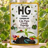 Hg Çin Para Çiçeği (Pilea) Saksı Toprağı - 40 Lt