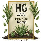 Hg Paşa Kılıcı (Sansevieria) Toprağı - 10 Lt
