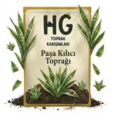 Hg Paşa Kılıcı (Sansevieria) Toprağı