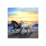 Hi Stone MS20087 5d Elmas Boncuk Taş İşleme Mozaik Goblen Kit 30 x 30 cm