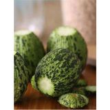 Hıdır Kavun Tohumu 10 gr Tohum Aksaray Tohumculuk