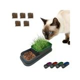 Hidroponik Kedi Çimi Seti, 5 Paket, Doğal Çim Yetiştirme