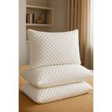 Hig Store Desert Touch %100 Pamuk Sıvı Su Geçirmez Yastık Alezi 2 Adet 50x70 Ebat Fermuarlı