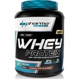 High Protein Tozu 900 gr Çikolata Aromalı Whey Protein 24 Gram Protein 5 Gram Bcaa - Ananas