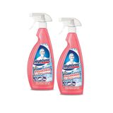Highgenic Duşakabin ve Banyo Temizleyici 750 ml, 2 Adet
