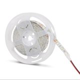 Hightek HT1832 5050 İç Mekan Sarı Şerit Led