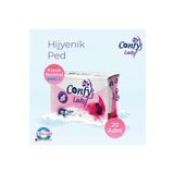 Hijyenik Ped Classic Normal Eko Paket 20 Adet