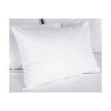 Hijyenik Tek Kullanımlık Hasta Yastık Alezi (4 Adet) ( Lisinya ) - 100 x 100 cm