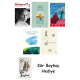 Hikayeci - 5 + Göl Saatleri + Genç Kız Kalbi + Gecenin Gecesi + Görme Huyu + Kör Baykuş