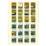 Hikmetevi Yayınları Peygamberler Tarihi (arapça) 12 kitap + Peygamberimizin hayatı (arapça)12 kitap Kampanya