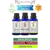Hikona Heka 3'lü Set (KARANFİL YAPRAĞI - LİMON OTU - OKALİPTUS) Uçucu Yağı %100 Saf Ve Doğal -3x10ml