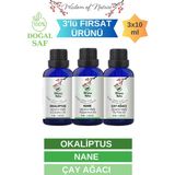 Hikona Heka 3'lü Set (Okaliptus - Nane - Çay Ağacı) Uçucu Yağı Saf ve Doğal (3x10 ml)