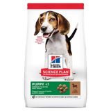 Hill's 2.5 kg Puppy Medium Healthy Development Kuzulu ve Pirinçli Orta Irk Yavru Köpek Maması
