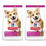Hill's 2x1,5 kg Small Kuzu Etli Yetişkin Kuru Köpek Maması