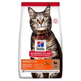 Hill's Adult Lamb Kuzu Etli 10 kg Yetişkin Kedi Maması