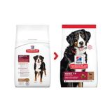 Hill's Adult Large Breed Lamb 14 kg Köpek Maması