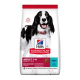 Hill's Advanced Fitness Balıklı Yetişkin 2,5 kg Köpek Maması