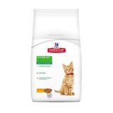 Hill's Kitten Chicken Tavuklu 1 kg Açık Yavru Kedi Maması
