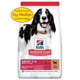 Hill's Kuzu Etli Orta Irk Yetişkin 12+2 kg Köpek Maması
