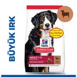 Hill's Large Breed Büyük Irk Kuzulu Yetişkin 12+2 kg Köpek Maması