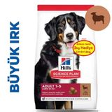 Hill's Large Breed İri Irk Kuzulu 12+2 kg Köpek Maması