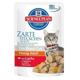 Hill's Pouch Kısırlaştırılmış Somonlu 85 gr Yetişkin Yaş Kedi Maması