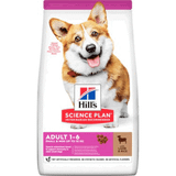 Hill's Science Plan Adult Kuzu Etli ve Pirinçli 6 kg Small ve Mini Irk Köpek Maması