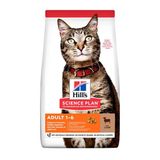 Hill's Science Plan Kuzulu 10 kg Yetişkin Kuru Kedi Maması
