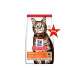 Hill's Science Plan Optimal Özel Care Kuzu Etli Pirinçli Yetişkin 10 kg Kuru Kedi Maması