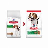 Hill's Science Plan Puppy Medium Lamb Rich Orta Irk Kuzulu Yavru 14 kg Köpek Maması