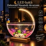 Hiltech LED Işıklı Dekoratif Masaüstü Akvaryum Yarım Ay Tasarım Hava Kabarcıklı Balık - Ahşap - Bej - Siyah