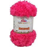 Himalaya 75605 Kuzucuk Color İp