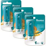 Himalaya Besleyici Lip Balm - Buğday Tohum Yağı - Nemlendirici - %100 Doğal Renk Silikon İçermez 4,5 gr 3 Adet