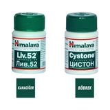 Himalaya Liv52 + Cystone Koruyucu Paket