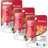 Himalaya Parlatıcı Dudak Kremi Çilek 4,5 Gr %100 Doğal Nemlendirici Silikon İçermez Şeffaf
