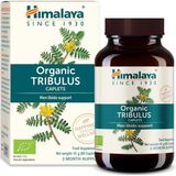 Himalaya Tribulus 60 Tablet