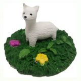 Himi Teraryum Objeleri Kedi Teraryum Minyatür Obje Teraryum Malzemeleri Objeleri