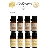 Hindistan Cevizi - Mango Esansiyel Uçucu Koku Yağı Buhurdanlık Yağı Difüzör Esansı Oda Ortam Kokusu 8X10ML