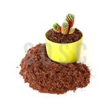 Hindistan Cevizi Torfu%100 Doğal Torf - Cocopeat Hindistan Cevizi Lifi - Doğal Bitki Toprağı 10 Lt