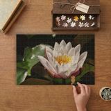 Hint Lotusu - Beyaz Yapraklı Lotus Çiçeği Tasarımı 240 Parça Ahşap Puzzle Ahşap Kutuda MP05447