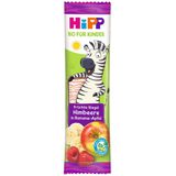 Hipp 1+ Yaş 23 gr Organik Ahududulu Elmalı Muzlu Meyve Barı