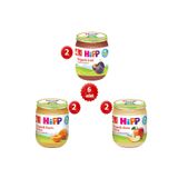 Hipp Organik x6 Kavanoz Karışık Meyve Püresi 125g