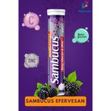 Hippnose Sambucus Efervesan – C Vitamini, Çinko ve Beta Glukan Destekli Takviye 20 TABLET