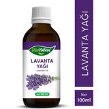 His Naturel Saf Doğal Lavanta Yağı 100 ml Antioksidan Özellikli Bitkisel Yağ