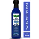 His Naturel Yaban Mersini Özü 700 gr